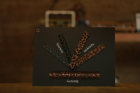 丈根系列 C-1606-05